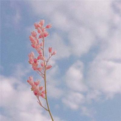 AG九游会app下载截图