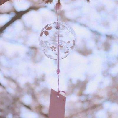 皇冠2登录平台首页截图