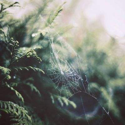 澳门·新甫京娱乐娱城app下载